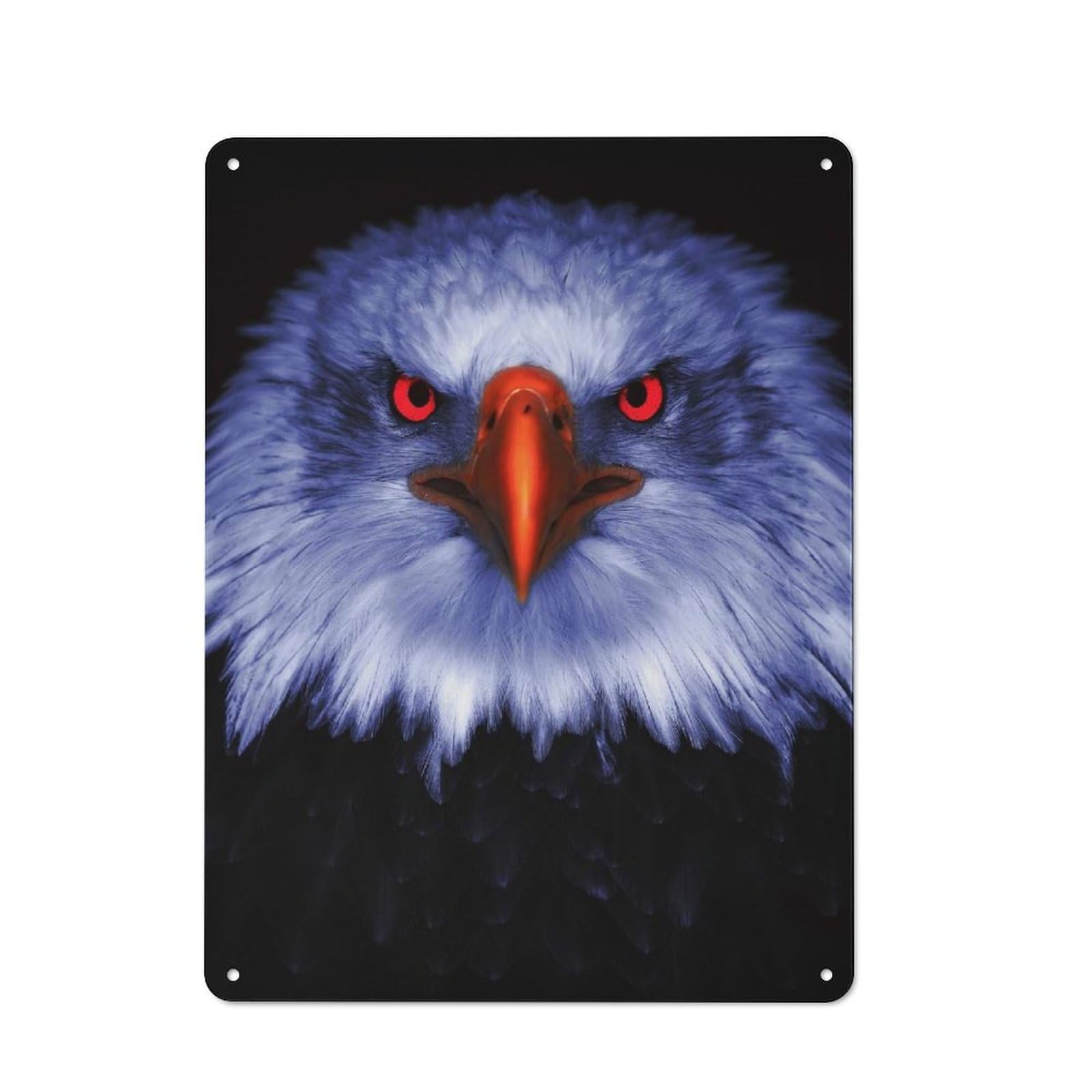 Eagle with Red Eyes Metal Gift Sign 40x30cm, Vintage Home Wall Decor for Home, Shop, Pub Or Studio Wall