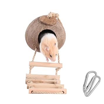 Seaokais Bird House Coconut Nest with Ladder Natural Bed Cave Nesting Box for Small Animals