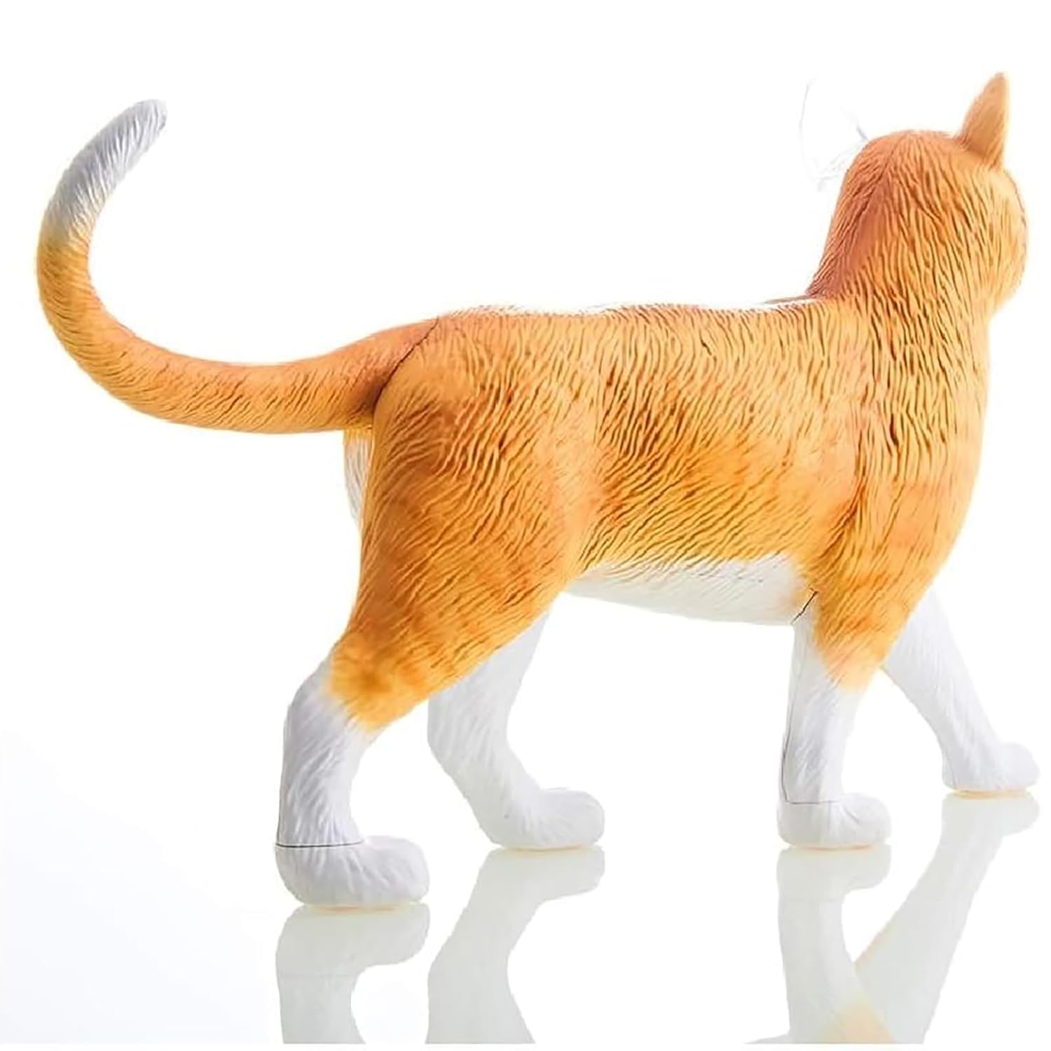 Modello Anatomico di Gatto 4D 28 Pezzi Kit di Modelli di Anatomia dello Scheletro di Gatto Arancione 4D Il Modello, Lungo 30 Cm, Contiene 28 Organi E Parti del Corpo Staccabili