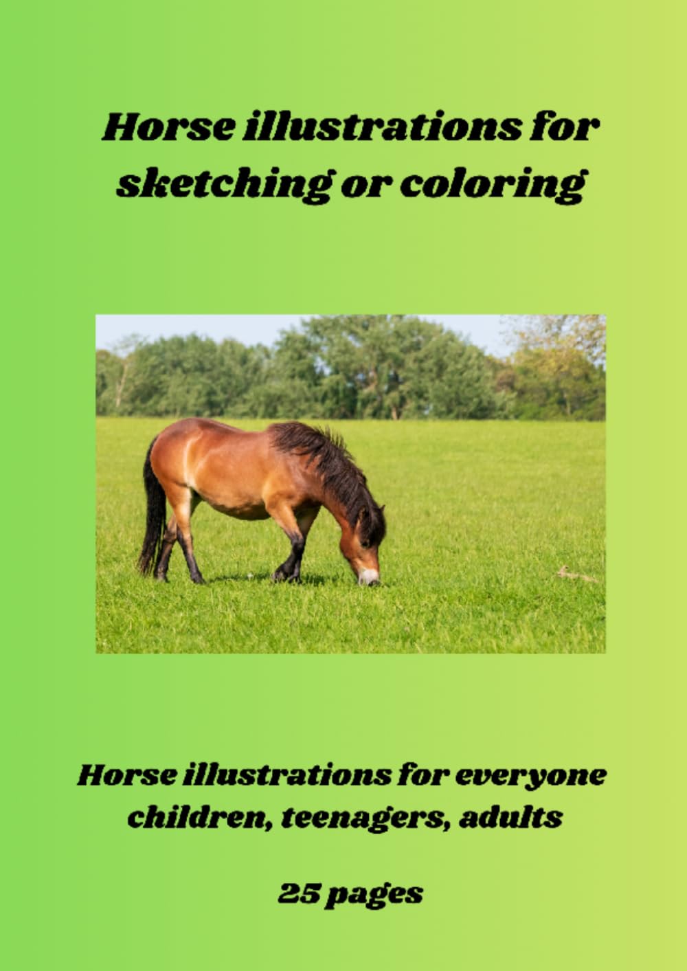 Horse illustrations for sketching or coloring