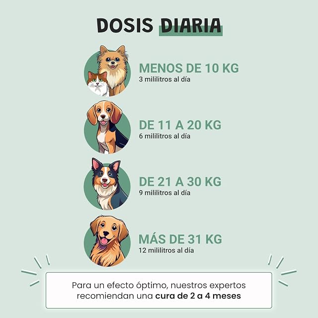 Foto 5 de 8 de Hocico & Co Phyto Zen - Calmante para Perros - 200 ml - Anti Stress Gato y Perro - Ansiedad - Ansiedad