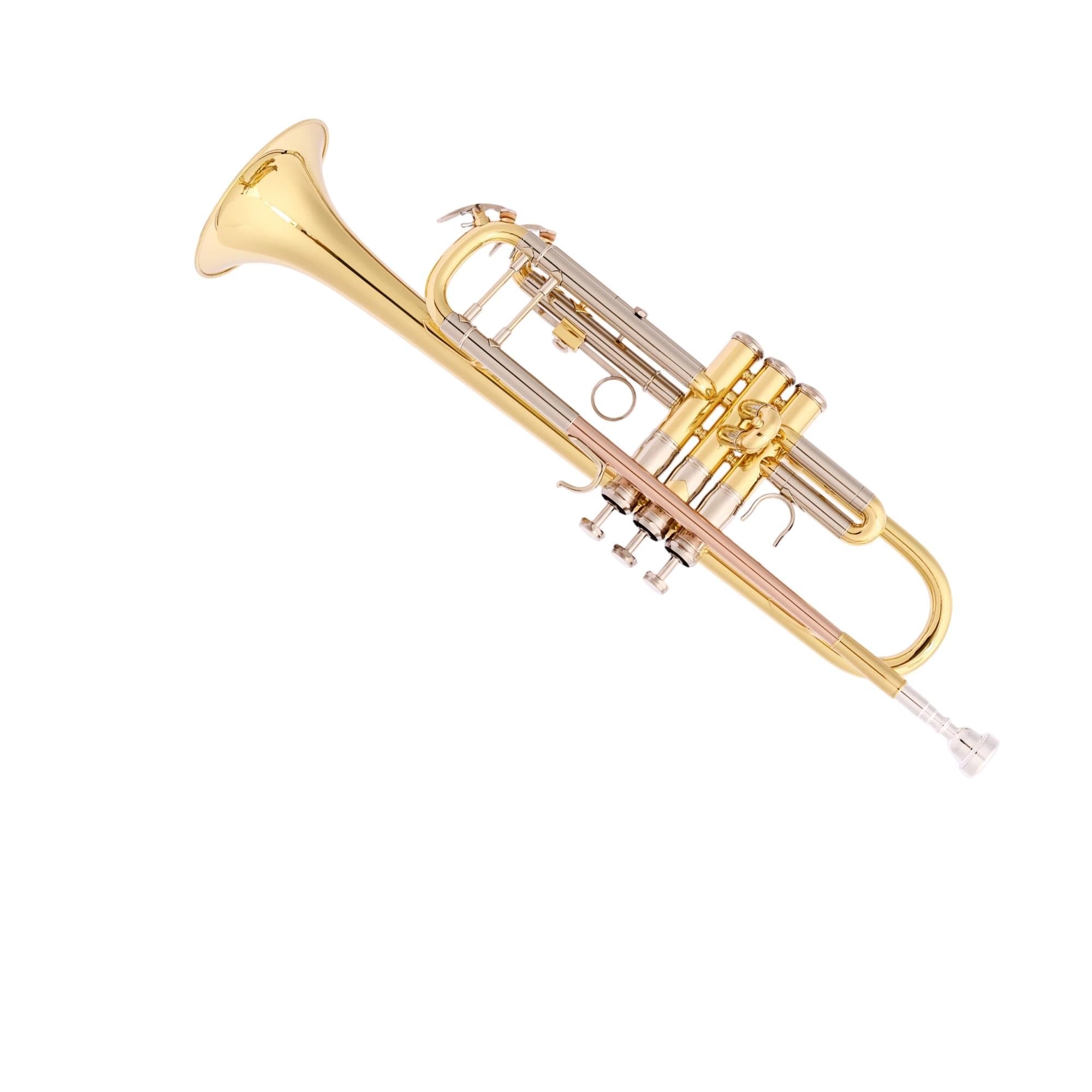 Standard Trumpet Profesjonalna trąbka Bb