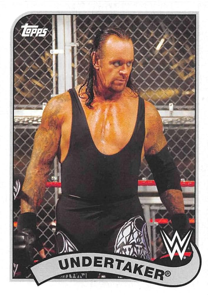 WWE WWF アンダーテイカー バッドアス バイカー ナンバープレート WWE WWF アンダーテイカー バッドアス バイカー ナンバー