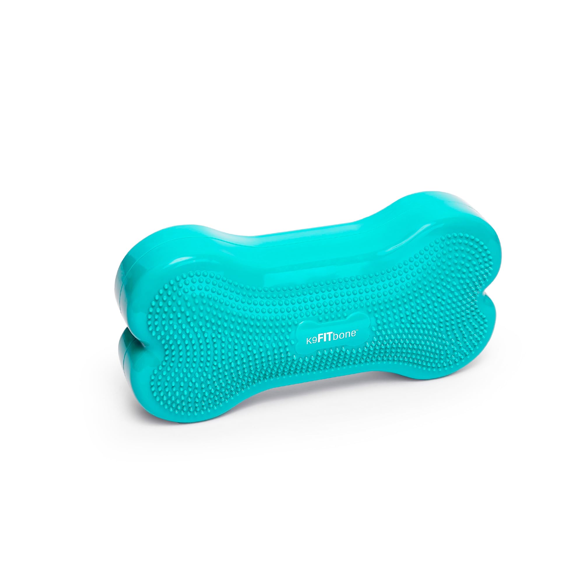 Amazon.com: FitPAWS® K9FITbone® - Regular, Aqua | Dog Balance