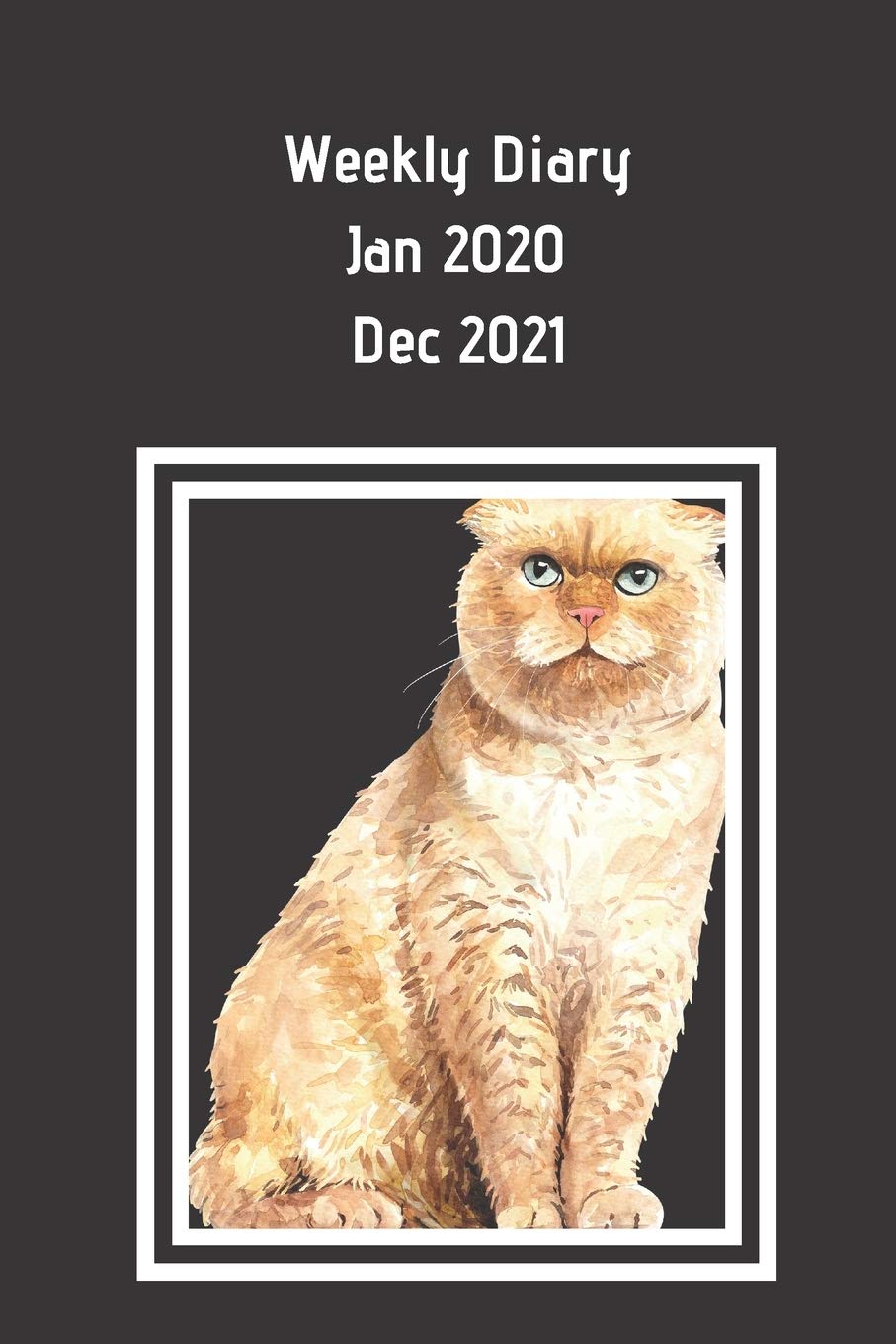 Weekly Diary Jan 2020 - Dec 2021: Week to a page with space for notes and things to do list. two year planner. Small business, childminder, shift ... grandparents organizer.. Ginger marmalade cat