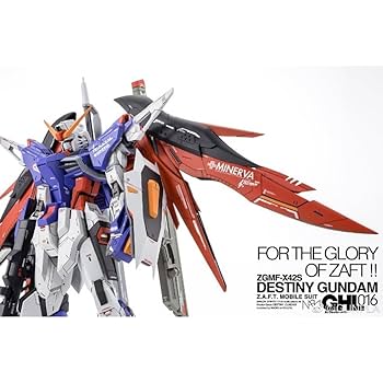 ｙ様ご依頼　MGディスティニー完成品 y様ご依頼 MGディスティニー完成品