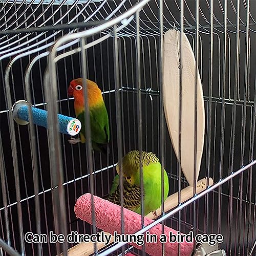 Sepiaschalen,Sepia Schale,Sepia Schalen,Sepia Knochen Sepiaschalen,sepiaschalen für schildkröten,Tintenfische Sepia Knochen,vogelstein,Vogel kauspielzeug,Miniatursepiaschalen handelt,6 Stück