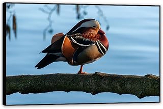 Snow Scene Wall Art,Mandarin duck on a branch,Painting on Canvas Winter Landscape Poster Snow Animal Wall Art Pictures for Living Room90x60cm(36x24in) Black Framed