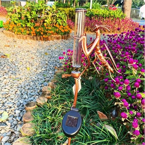 Compteur d'eau précis pour prévisions météorologiques de jardin et sol - 4