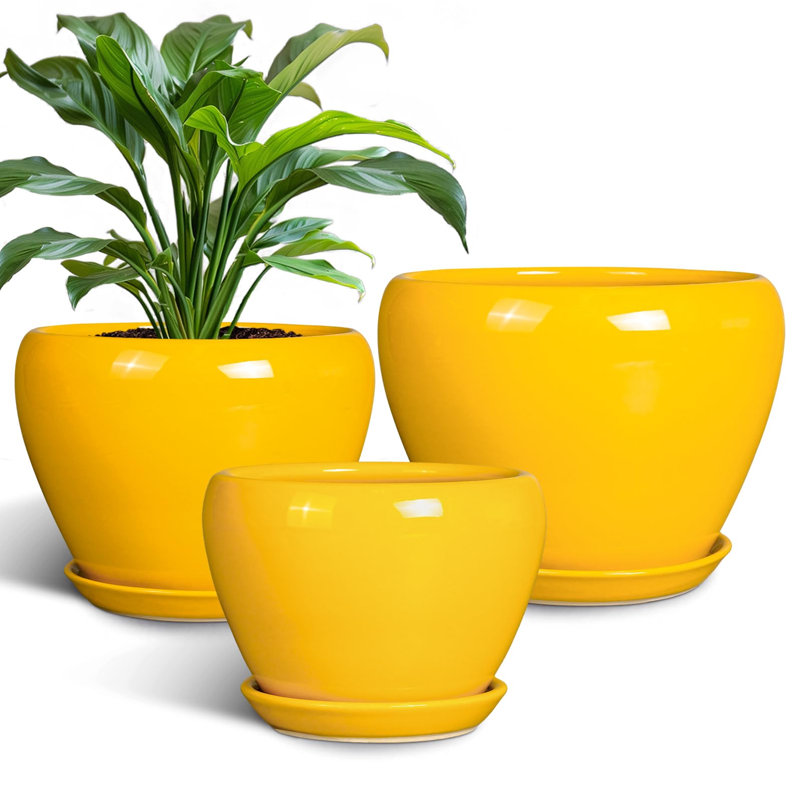 cera pot イエロー Amazon.com : EPFamily Ceramic Planters Set of 3 - Modern Round 10+