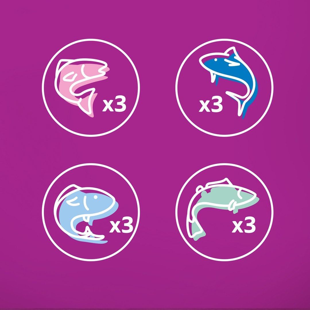 WHISKAS - Comida para Gatos (48 bolsitas frescuras, 4 Paquetes de 12 x 85 g) - Pescado Favorito (4 variedades) - Paté para Gatos Adultos en gelatina