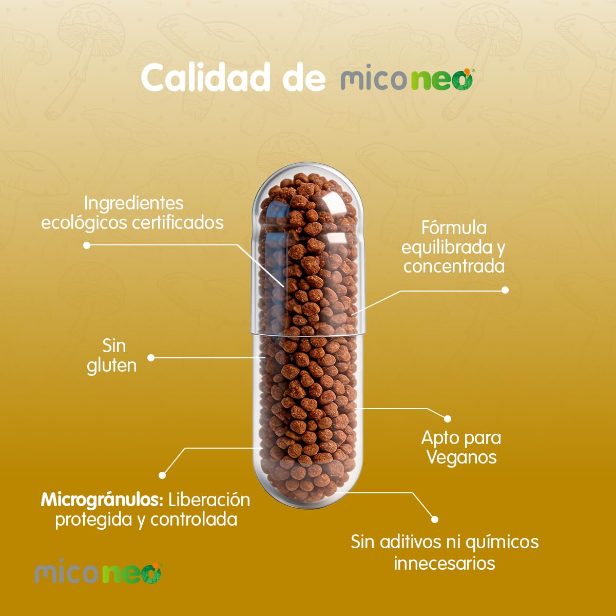 Mico NEO | GST | 60 Cápsulas | Con Reishi, Melena de León, Shiitake y Cúrcuma | Suplemento Elaborado con Hongos | Apoyo Digestivo Natural