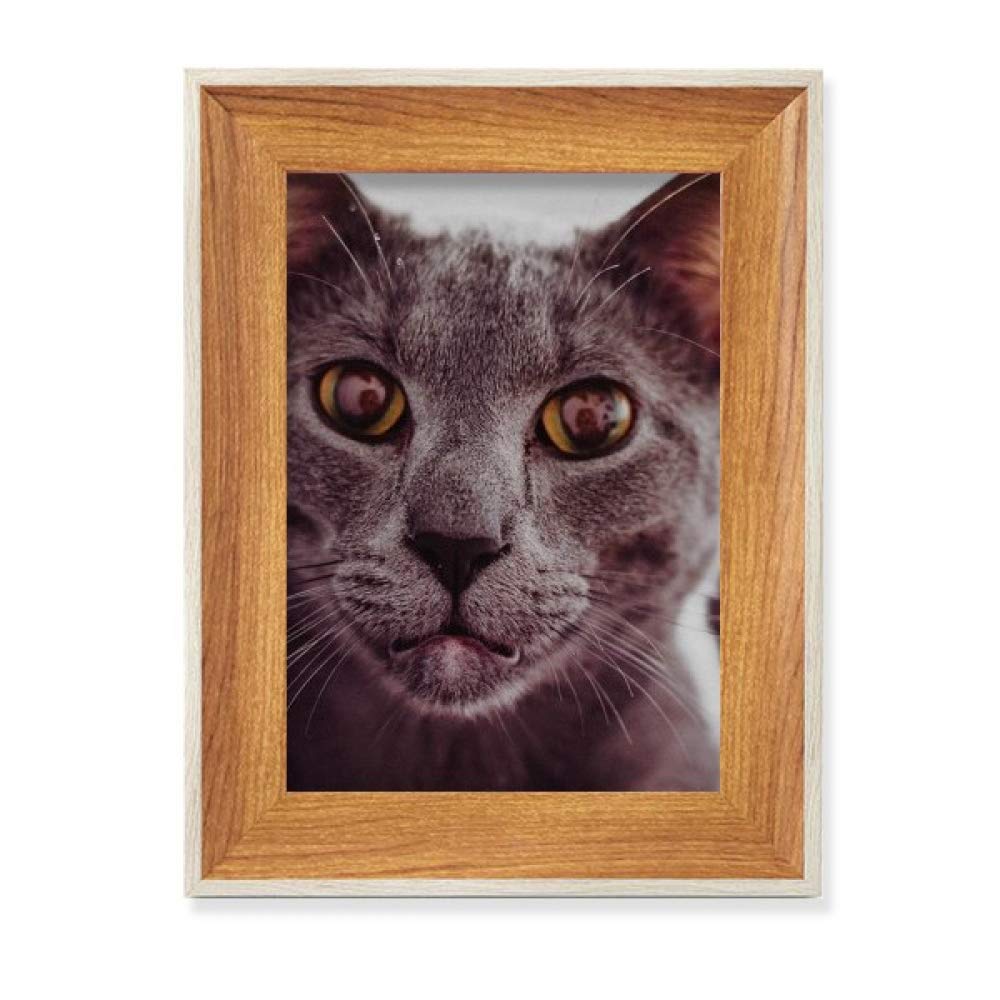 Cadre de photo en bois Les Gros Yeux, cadeau idéal chat
