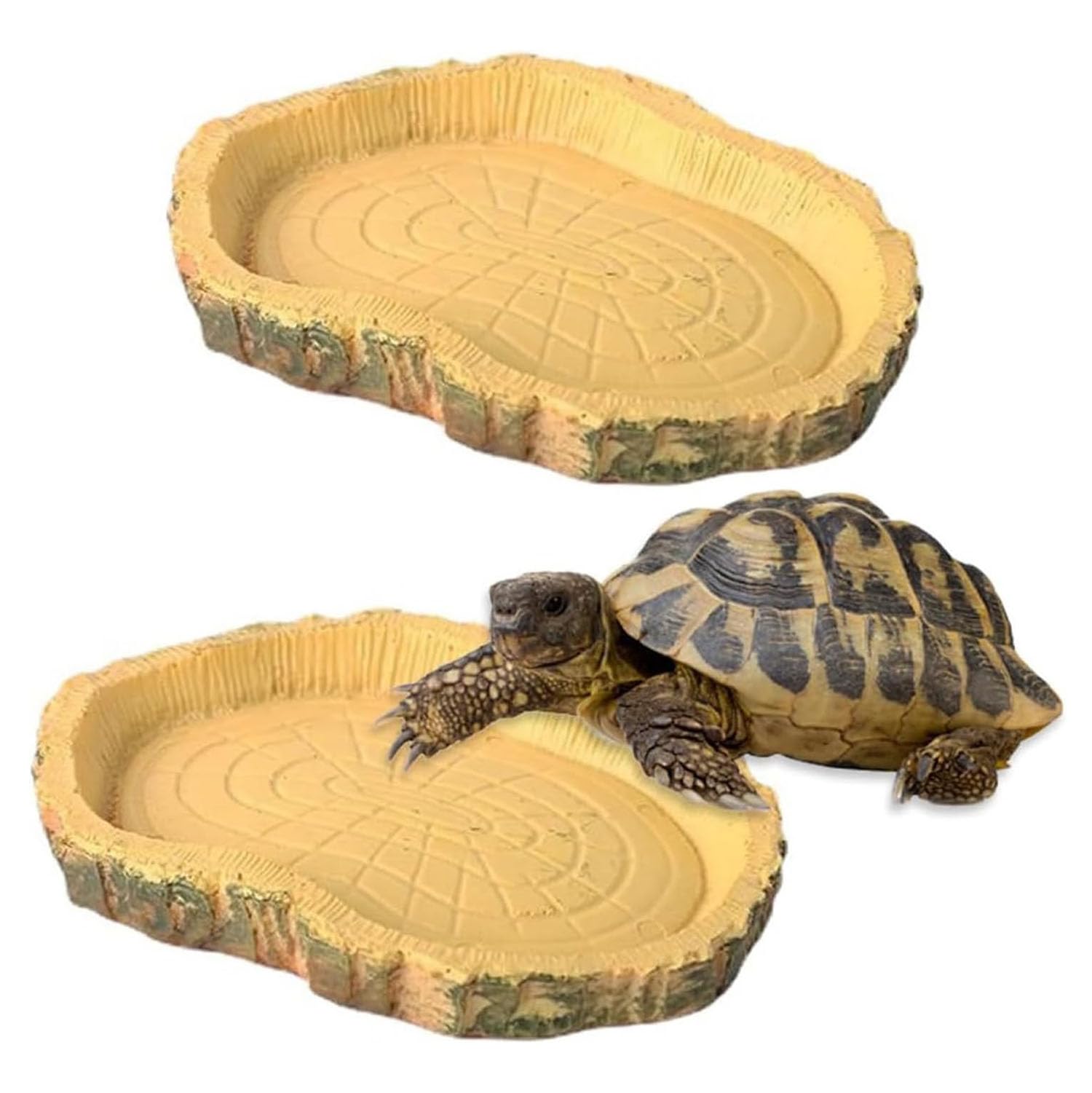 Yangwen 2-Pack Reptile Water Dish For Terrarium - Dual Use Food & Water Bowl For Turtles, Lizards, Snakes - Non-Tip Shallow Ramp Bowl For Tortoise, Bearded Dragon, Gecko Habitat Accessories