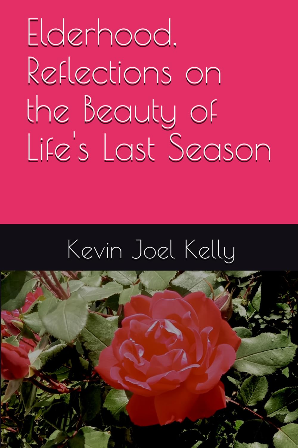 Elderhood, Reflections on the Beauty of Life's Last Season
