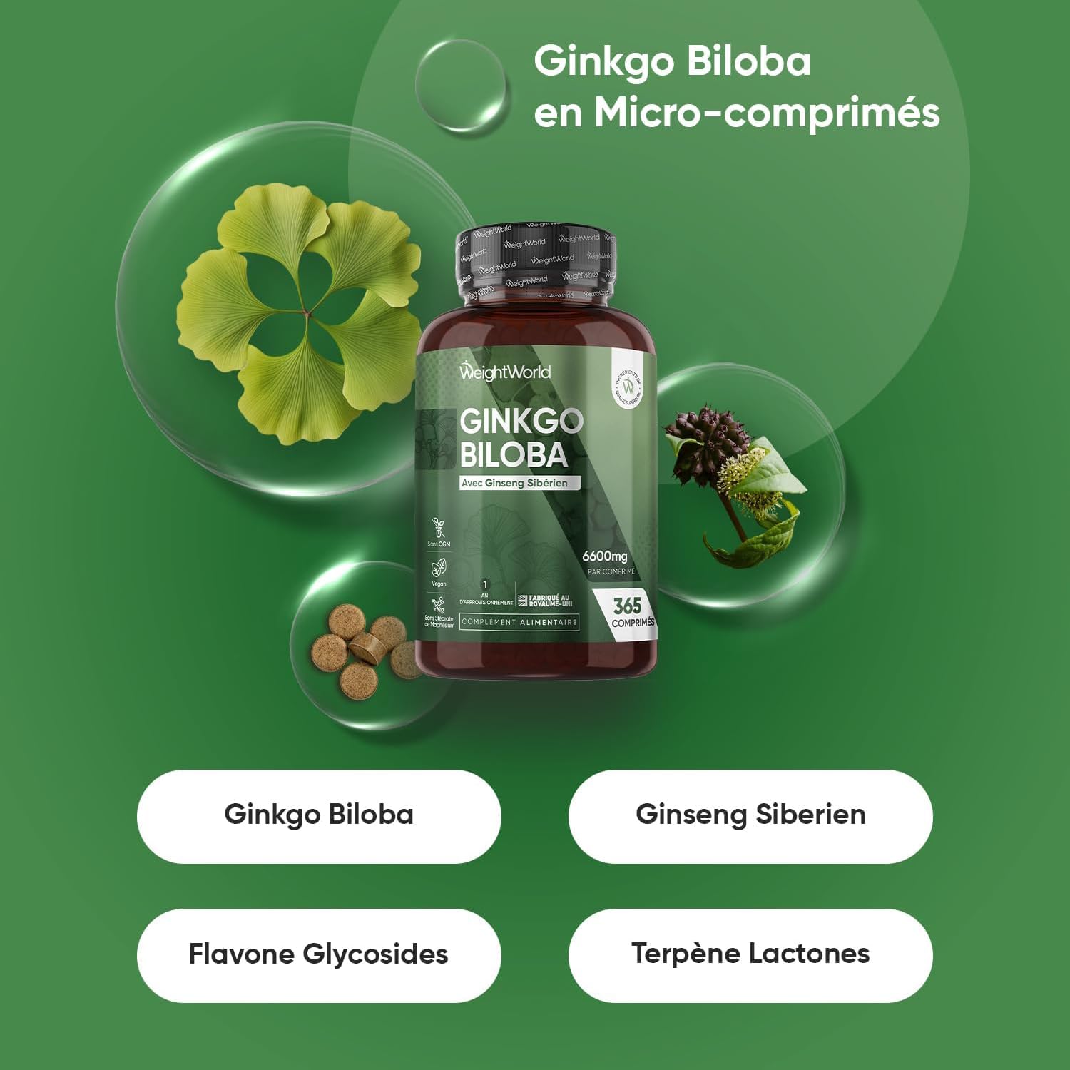 Ashwagandha Bio Gélules - Ginkgo Biloba Ginseng Sibérien Micro-Comprimés