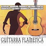 Guitarra Flamenca