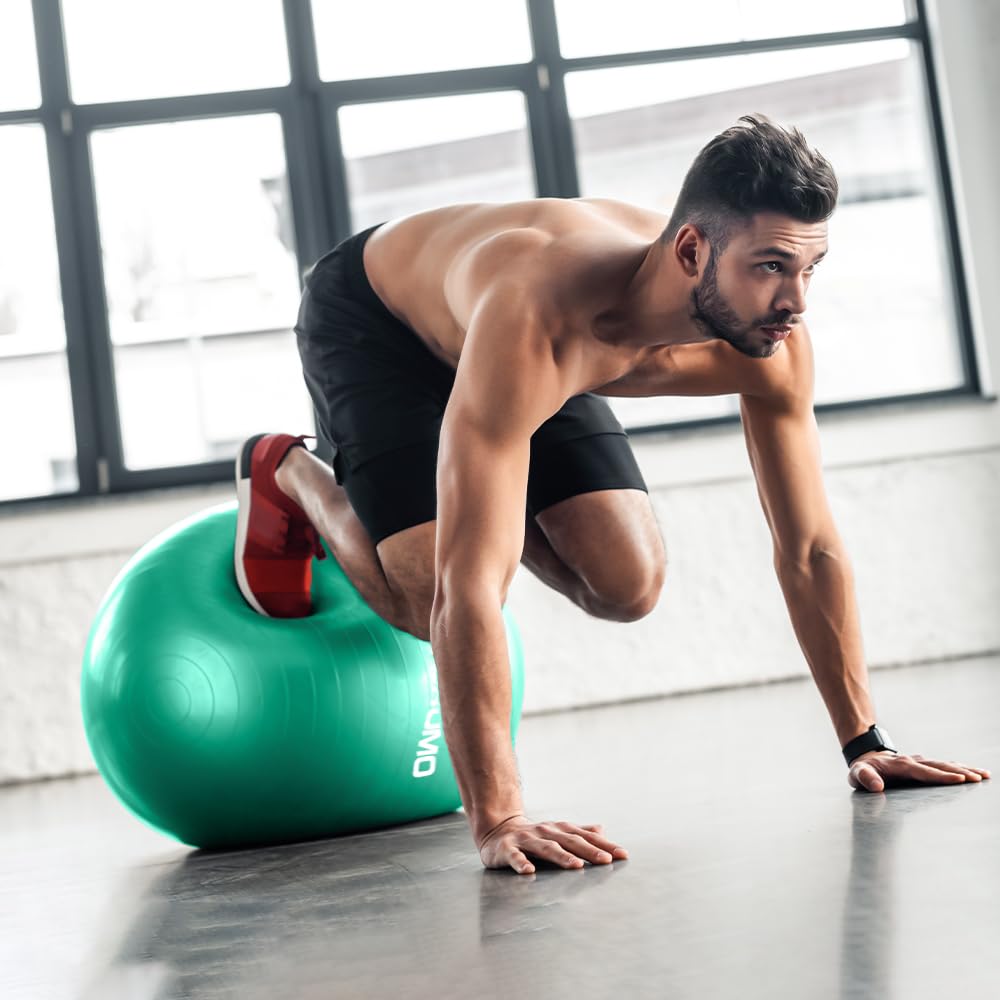 Exercise Ball (45cm-95cm),Yoga Ball,Pilates Ball,Medicine Balls for Exercise,Therapy Ball Chair,Extra Thick Anti Burst,for Balance Stability Workout,Pregnancy Birthing and Physical Therapy