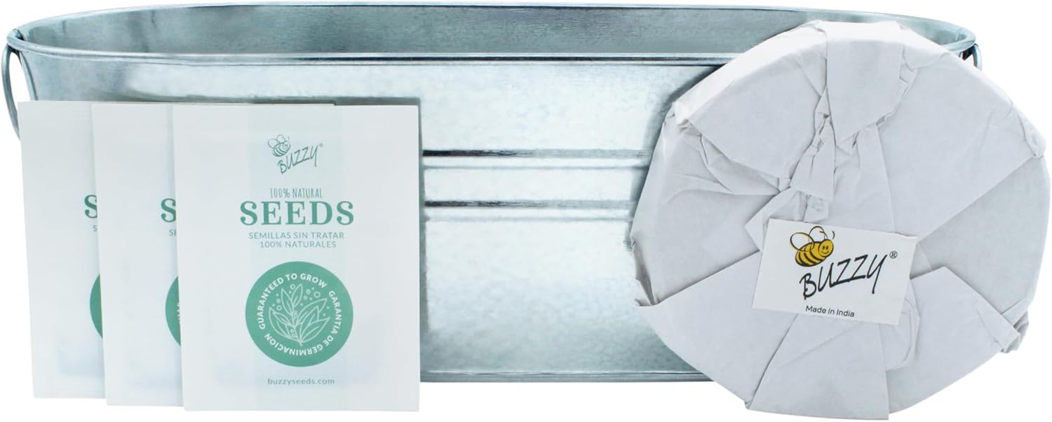 BUZZY Seeds 2-Pack Windowsill Grow Kits, Strawberry and Organic Herb Gardening Set with Basil, Cilantro, Chives, Non-GMO Seeds, Growing Medium and Planters, Housewarming Gift Idea