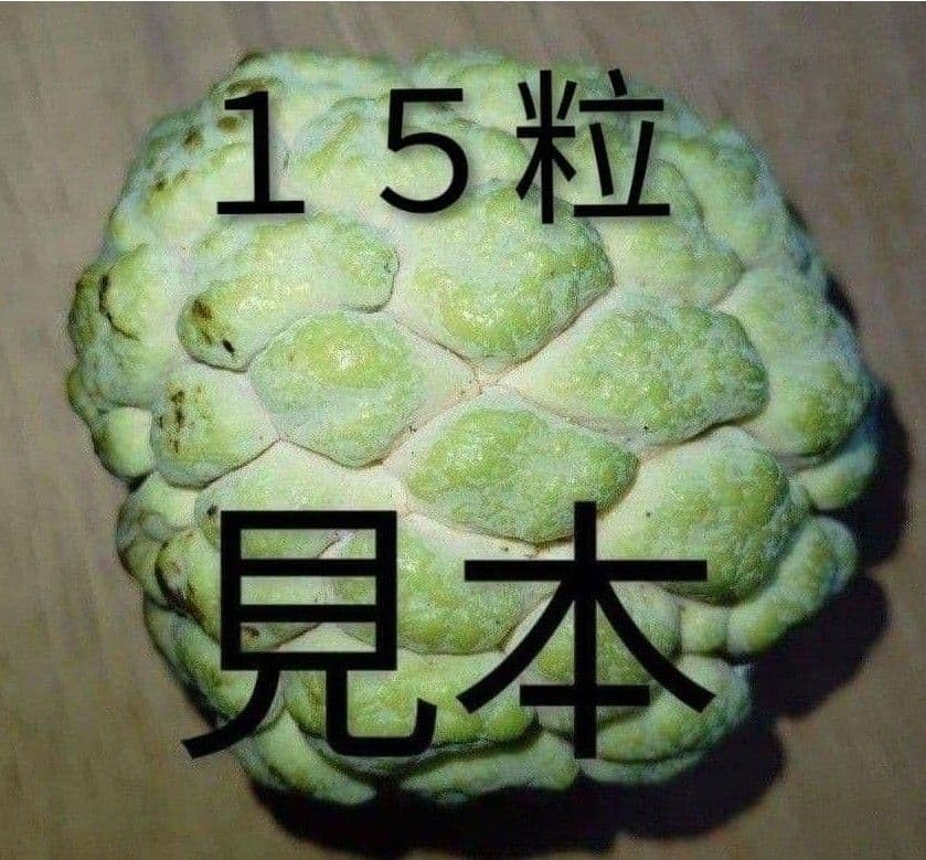 Amazon｜沖縄県産 釈迦頭の種 15粒 シャカトウ バンレイシ