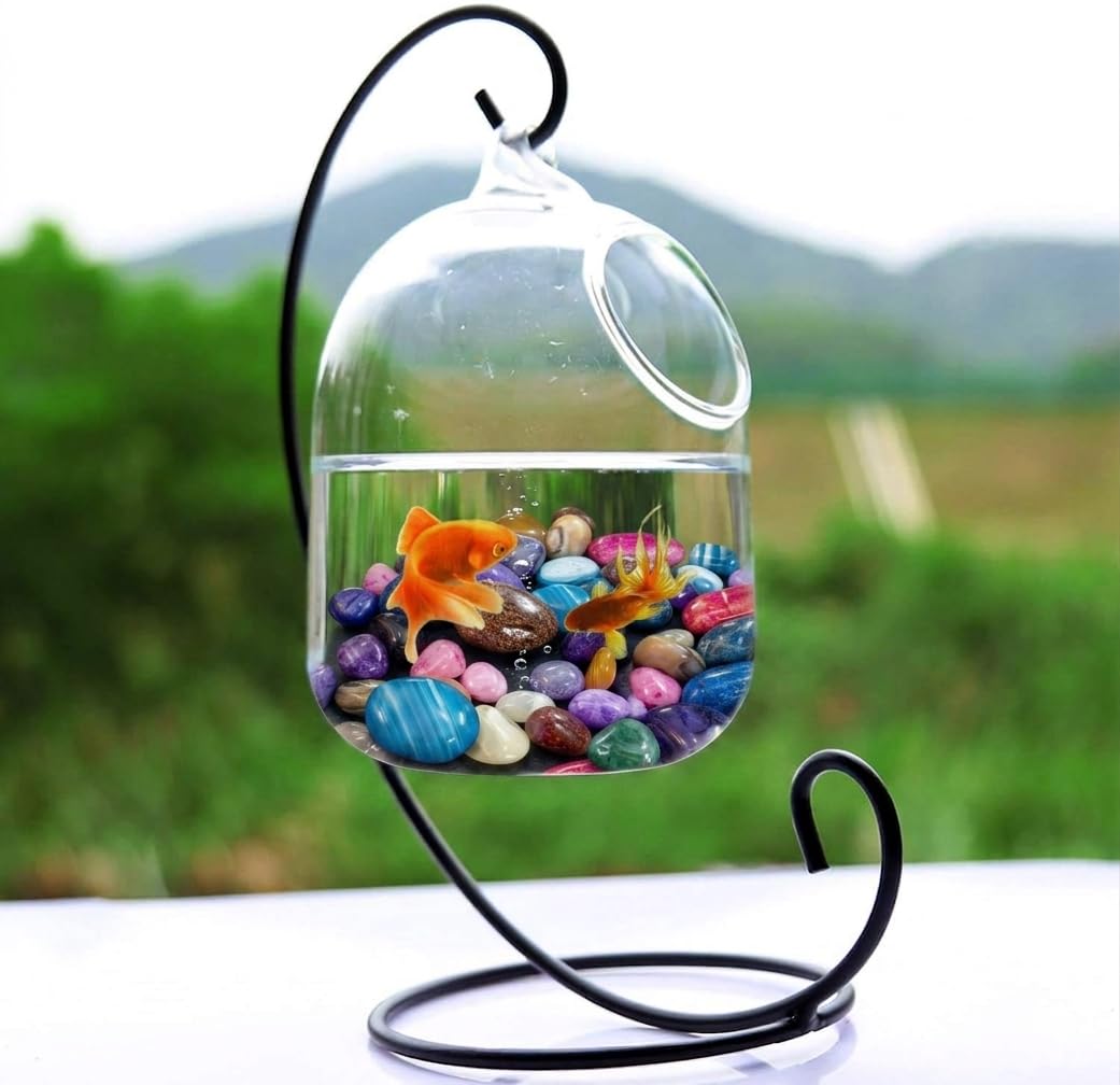 Multicolor 13 Pebbles Stones for Plants Pots, Aquarium/Fish Tank, Garden, Decoration, Table and Home Decor, Vase Fillers (500 Grm)_B49-image-33