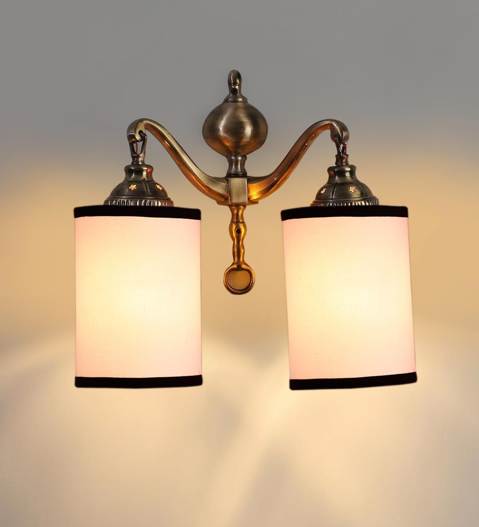 Devansh Dual Golden Antique Black & White Shade wall décor wall Hanging Light Vintage wall Lamps Decorative lamp Traditional wall lamp 2