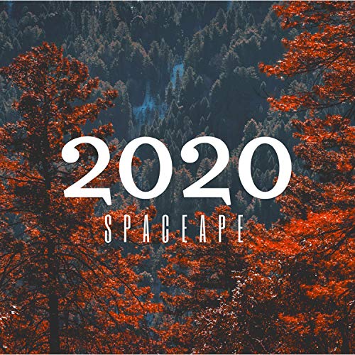The Spaceape
