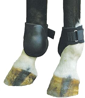 Intrepid International Ankle Boot with Thin Hard Outer Shell One hook and loop closure. Large Black