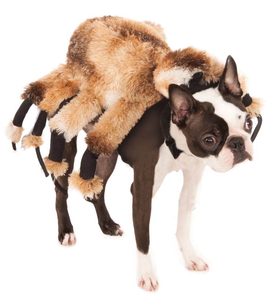 Official Rubies 580358S000 Small Giant Spider Pet Costume Halloween