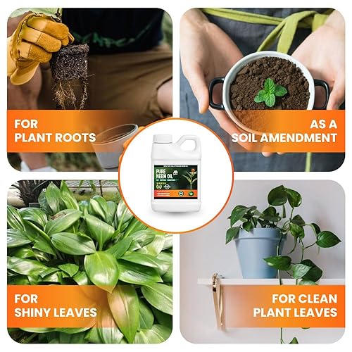 Miniatura 3 de Yield Titan 's Aceite de neem concentrado 100% puro prensado en frío para plantas y verduras de interior y exterior (1 galón)