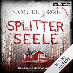 Splitterseele cover art