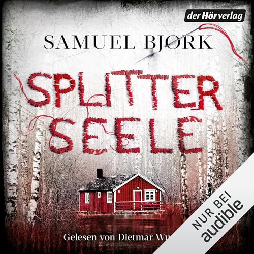 Splitterseele cover art