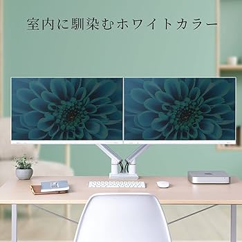 Amazon.co.jp: イーサプライ モニターアーム 2画面 デュアル ホワイト
