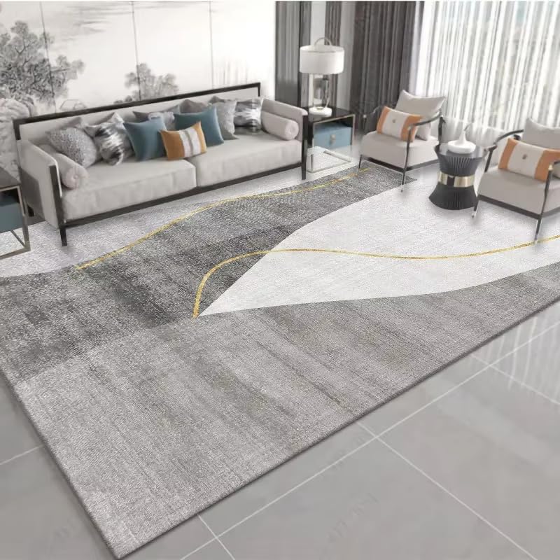 Tapis de salon antidérapant absorbant et doux lavable 150x200