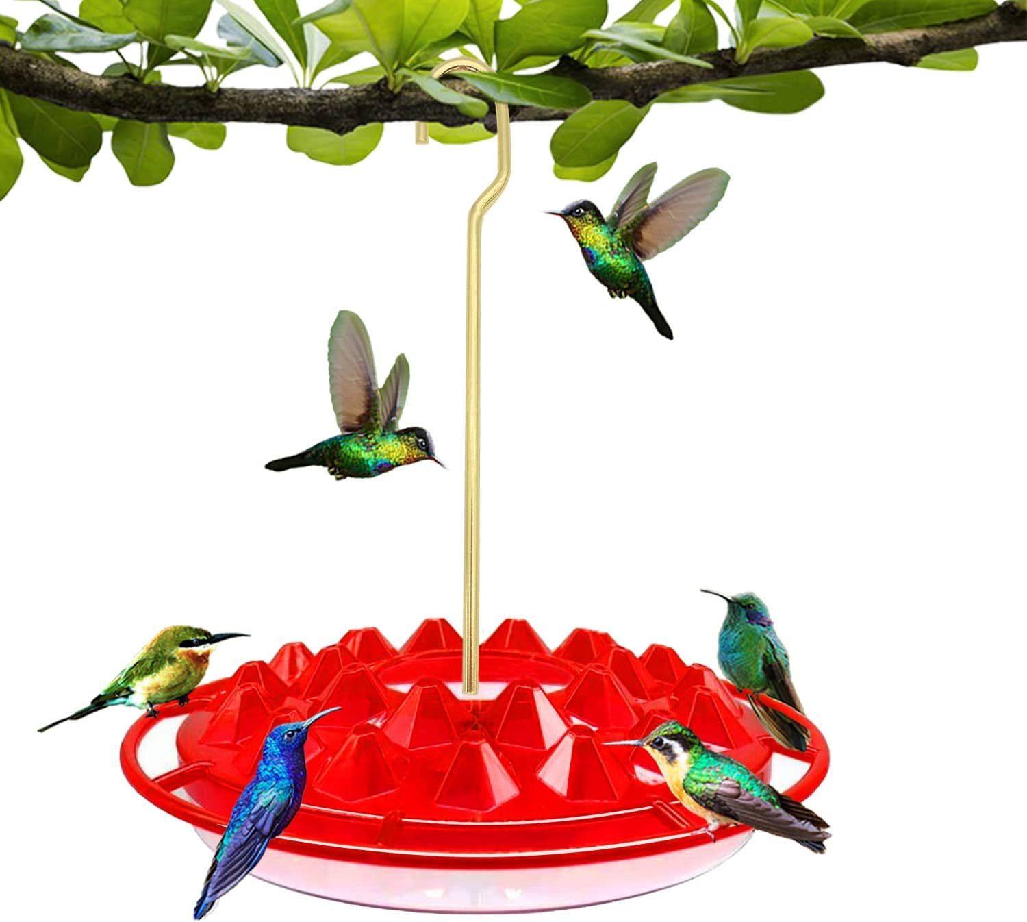 Hummingbird Feeders for Outdoors 2022 Newest Hummingbird Feeder Windows Hanging with Moat,Leak-Proof,Easy to Clean and Fill