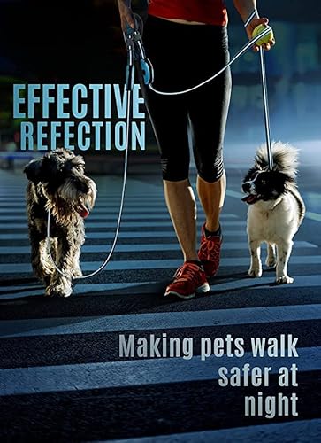 5Ft Hands Free Dog Leash For Medium Small Dogs, Nylon Dog Leash, Reflective Dog Walking Leash With Poop Bag Holder Blue #TOP4