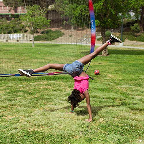 Chamgoal Collapsible Barricade Backstop Net,Basketball Barrier Net Lacrosse Backstop,Net For Baseball Softball Soccer Field Hockey Golf,Portable Sport Netting For Backyard Outdoor (12'X9' Barrier Net) #TOP4