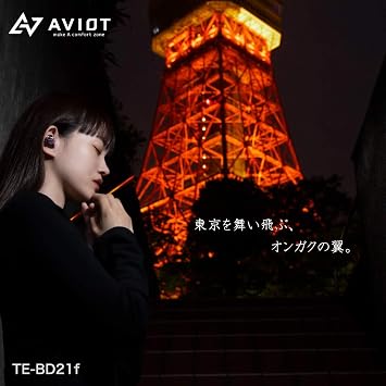 AVIOT TE-BD21F True Wireless Earphone Bluetooth 5.0 Hybrid Triple Driver IPX5 Waterproof Supports AptX, SBC, AAC Up to 7 Hours Continuous playback time [Black]