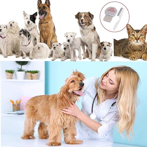 Miniatura 6 de Qtopun Peine para piojos sin liendres, peine de acero inoxidable para piojos, peine para pulgas, peine de metal para perros, gatos y mascotas
