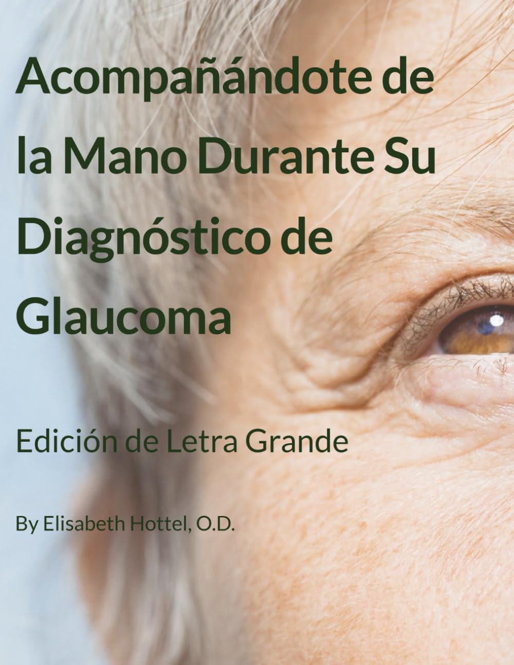 Acompañándote de la Mano Durante Su Diagnóstico de Glaucoma: Edición de Letra Grande en Español