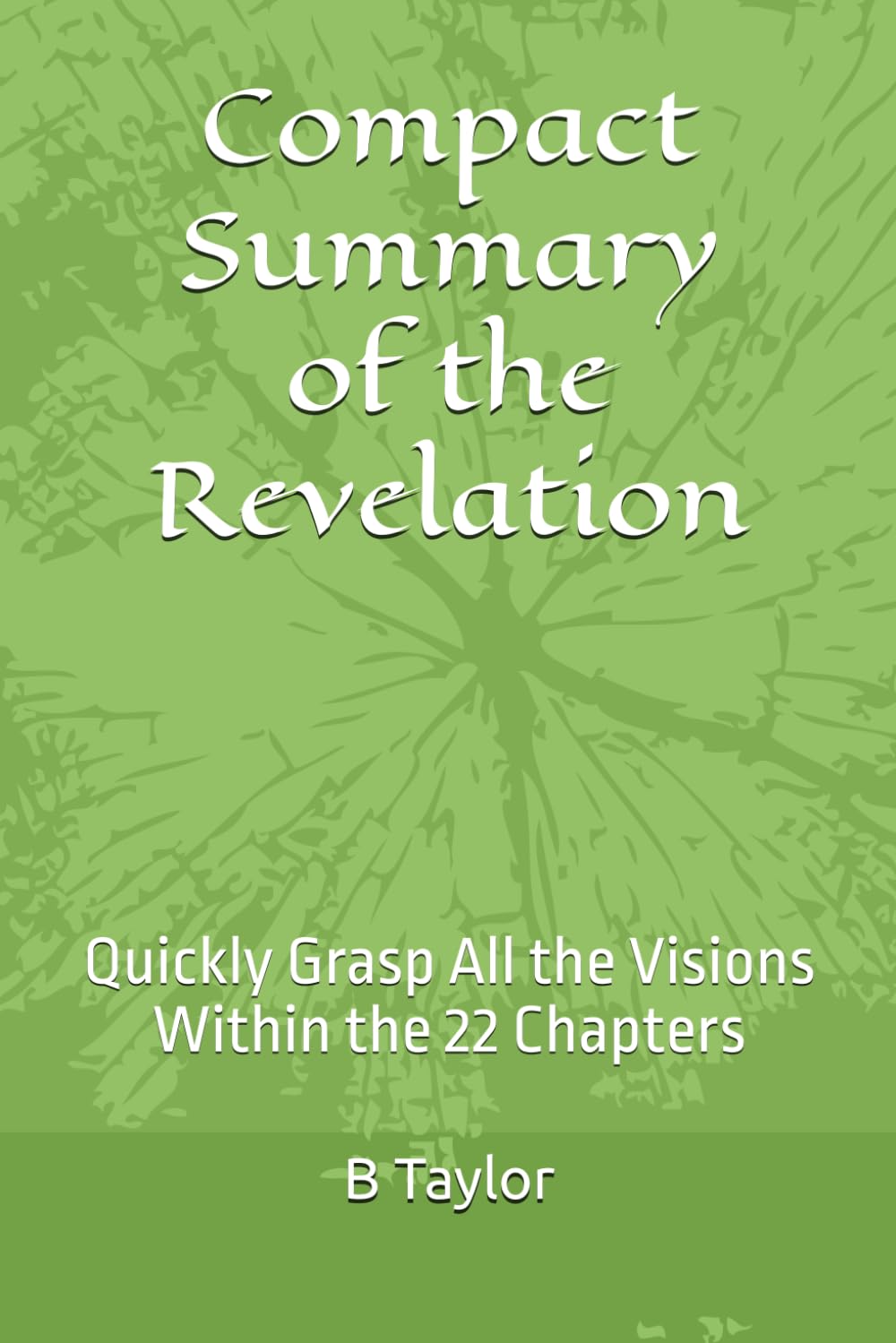 Compact Summary of the Revelation: Quickly Grasp All the Visions Within the 22 Chapters