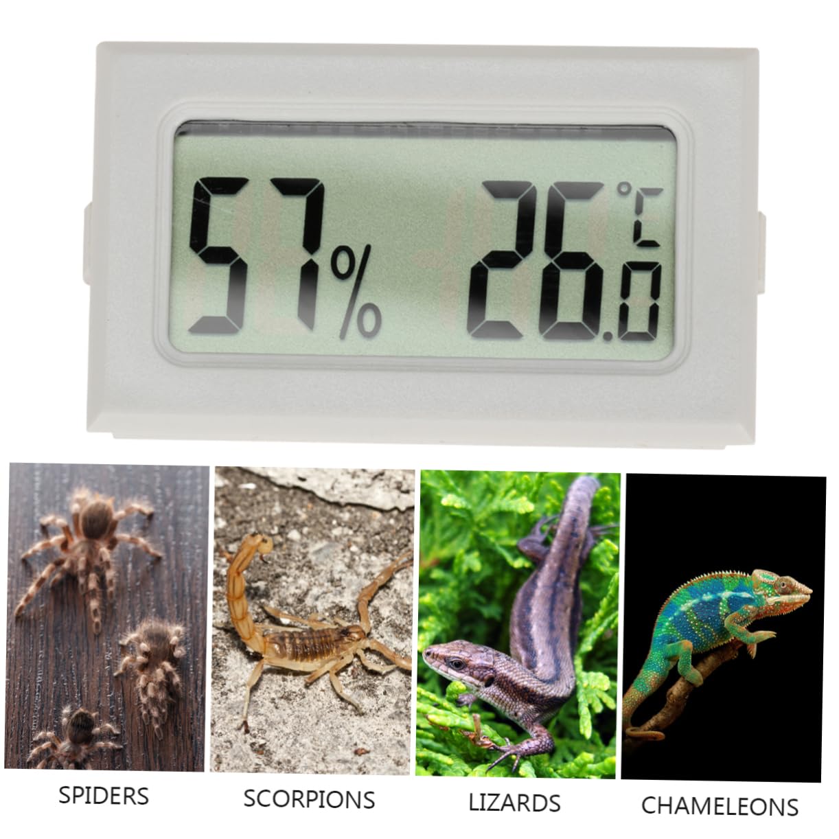 POPETPOP 15 Piezas Termómetro Para Reptiles Inalámbrico Al Aire Medidor De Temperatura Exterior Termómetro Inalámbrico Mini Higrómetro Caja De Reptiles Electrónico Abdominales