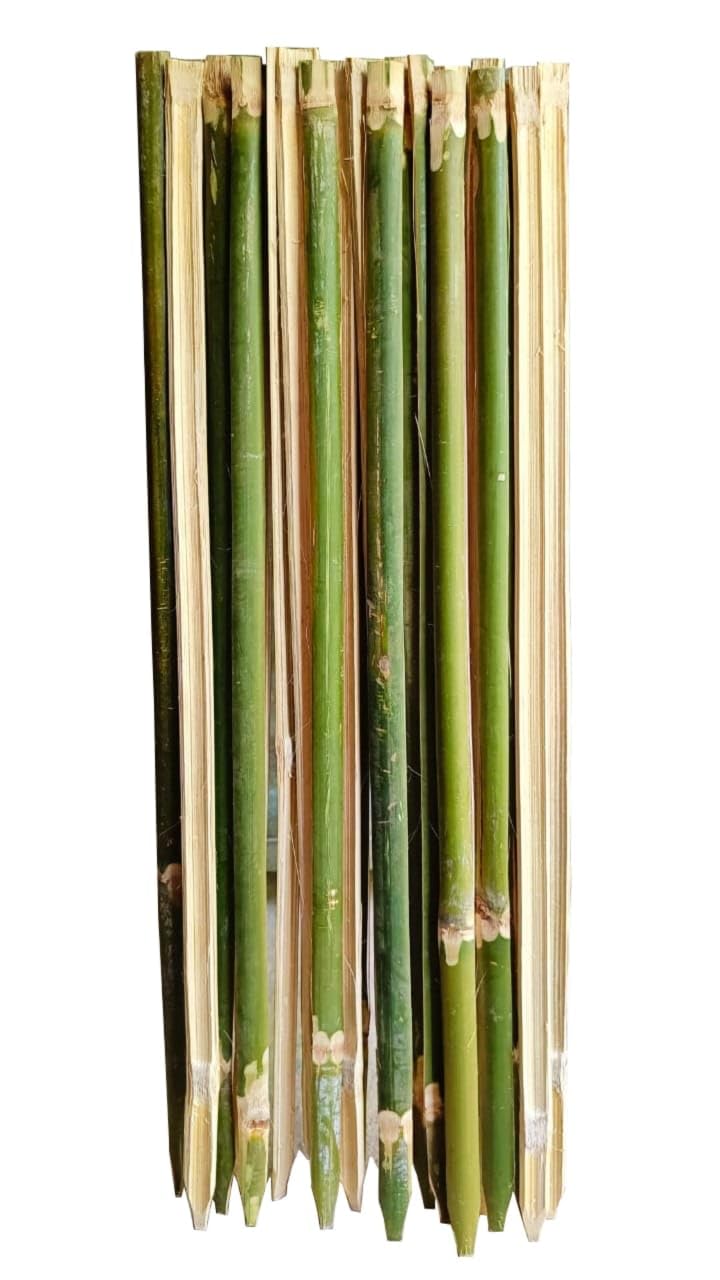 FINDLINE Plant Stakes Natural Garden Bamboo Sticks for Indoor and Outdoor Plants,Support Stakes for Tomatoes, Beans, Potted Plants -18 Inch Pack of 20 Piece Long/Climbers Support for Live Plant (B0BD5QJYQ5) Amazon Price History, Amazon Price Tracker