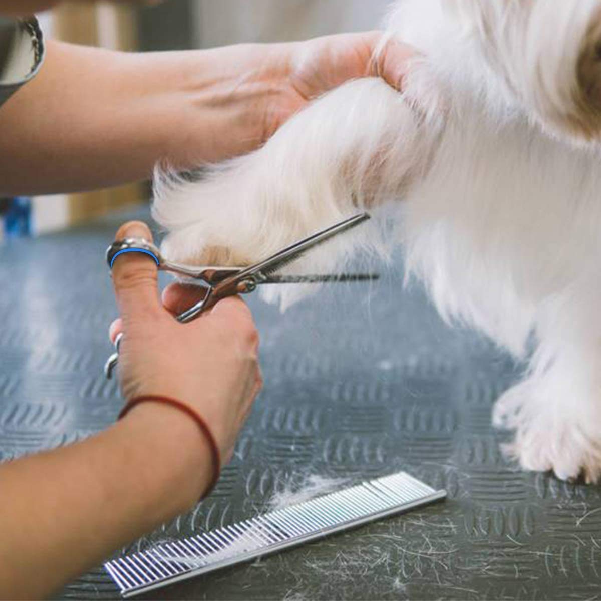 Kit de tijeras para peluquería canina de acero inoxidable, juego de tijeras para peluquería canina de 5 juegos de tijeras para peluquería canina, juego de tijeras para peluquería profesional para masc