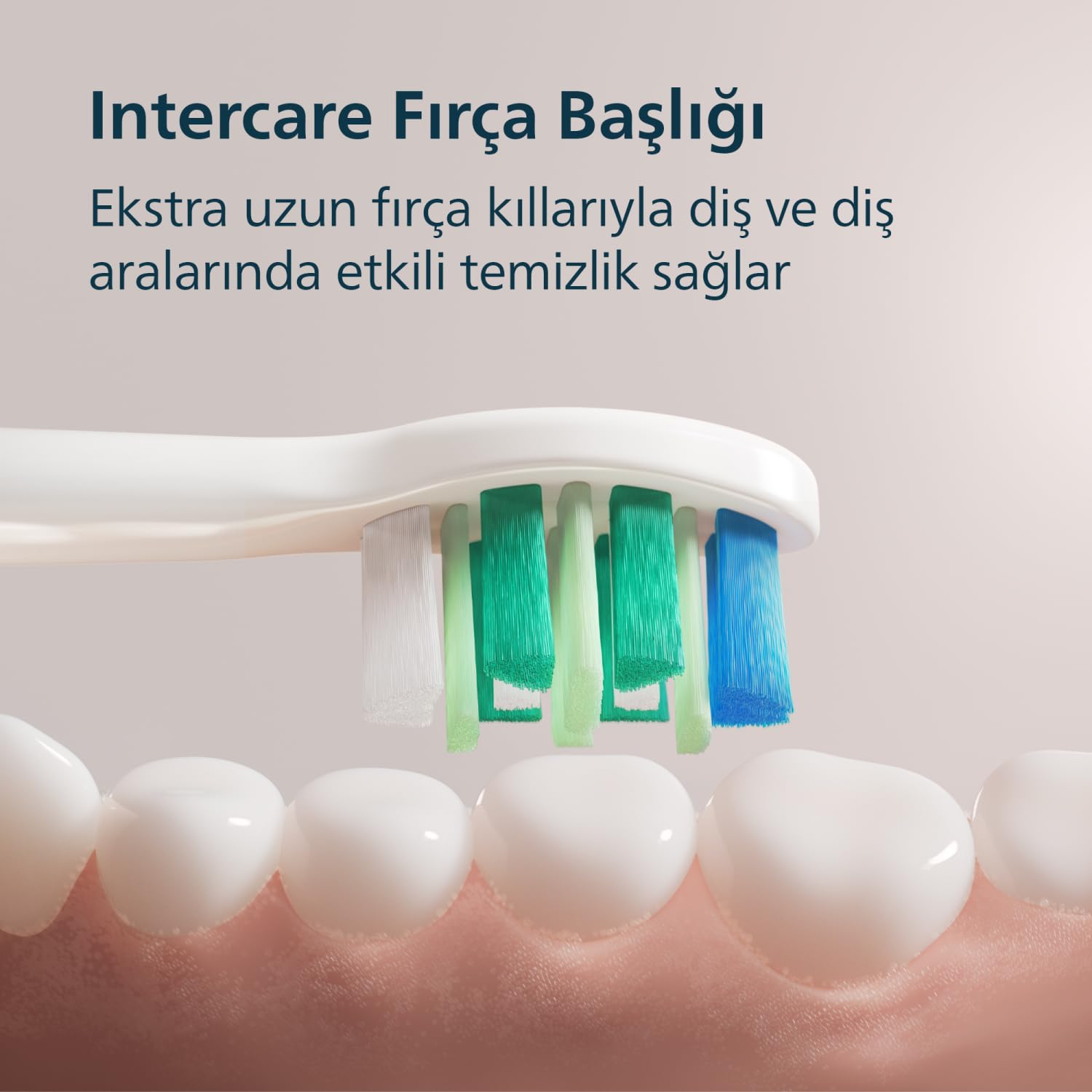 Philips Sonicare 2100 series HX4022/03 cepillo eléctrico para dientes Cepillo dental sónico Rosa claro