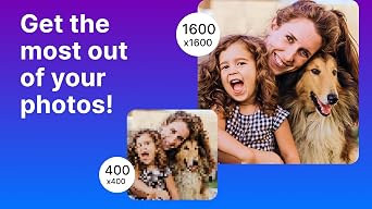 Nero Platinum 365 | All-in-One Multimedia Suite | Video Editing, Photos, Music, Backup, AI Tools, 4K/8K Support, Photo Organizer, Convert & Burn | 1 PC | Windows 11/10/8/7