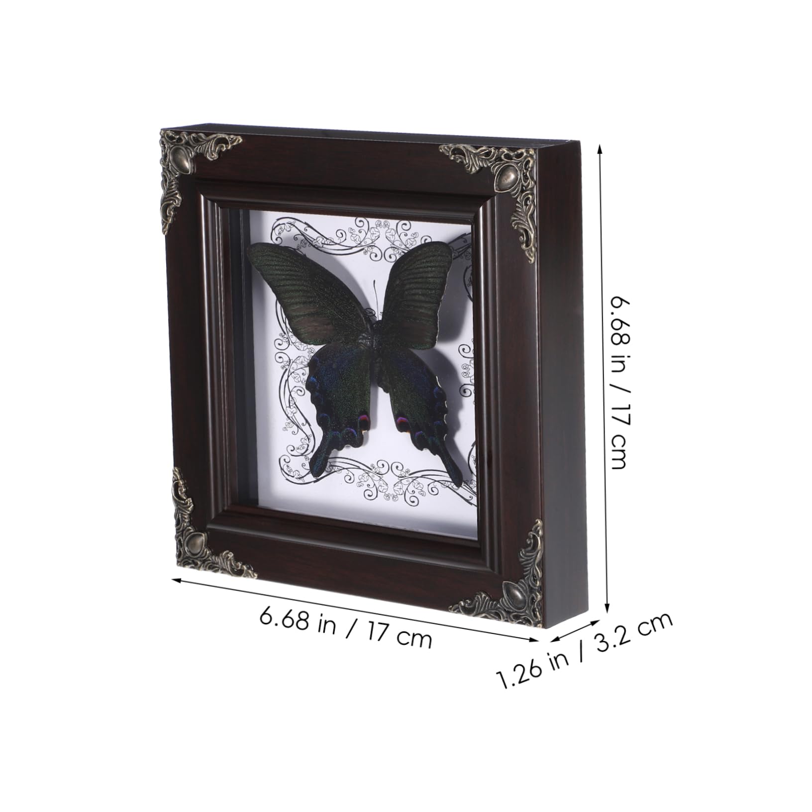 Toddmomy Elegant Wooden Butterfly Frame Specimen Artwork Photo Display Wall Decor Home Decor