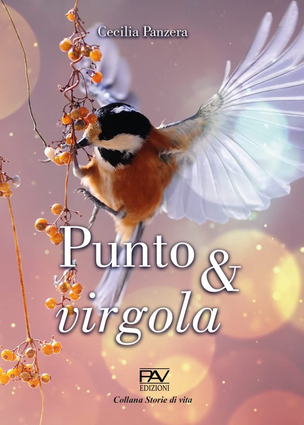 Punto & Virgola - 4