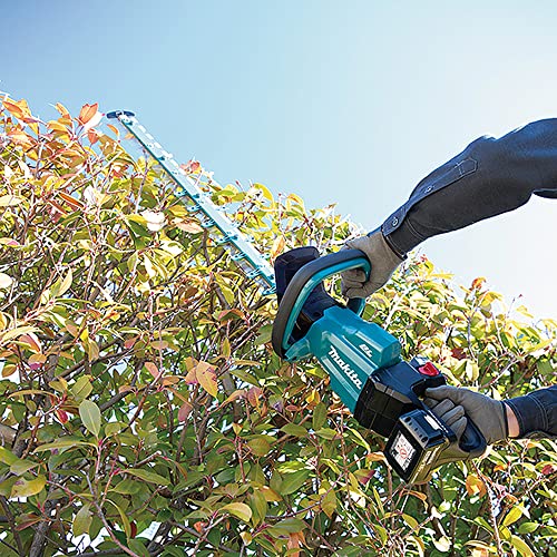 Foto von Heckenschere, 18 V, Li-Ion, 60 cm, 2 Akkus Makita DUH602RT2