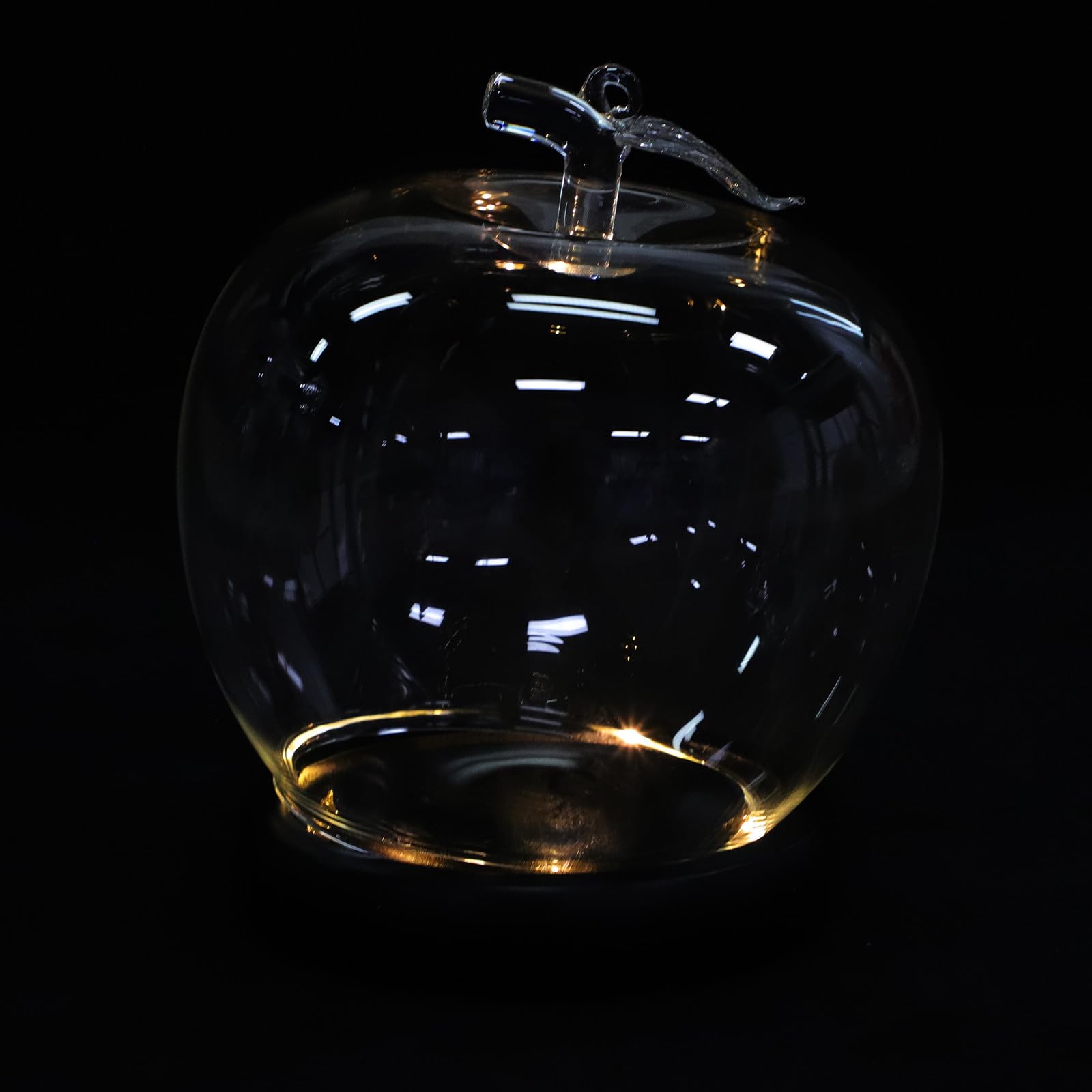 2 Cúpulas de cristal con base de madera luminosa LED BESTOYARD para flores y decoración